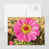 Multicolor Bloom Briefkaart (Voorkant / Achterkant)