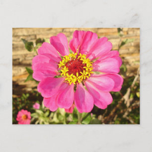 Multicolor Bloom Briefkaart