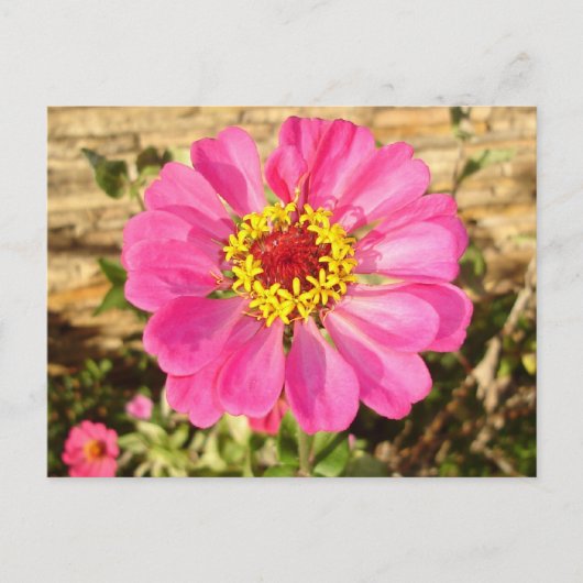 Multicolor Bloom Briefkaart (Voorkant)