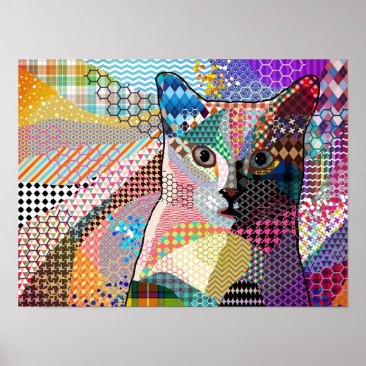 Multicolor Cat 676 Patronen Poster (Voorkant)