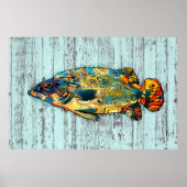 Multicolor Fish 2 Poster (Voorkant)
