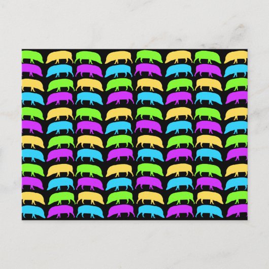 Multicolor Hogs Briefkaart (Voorkant)