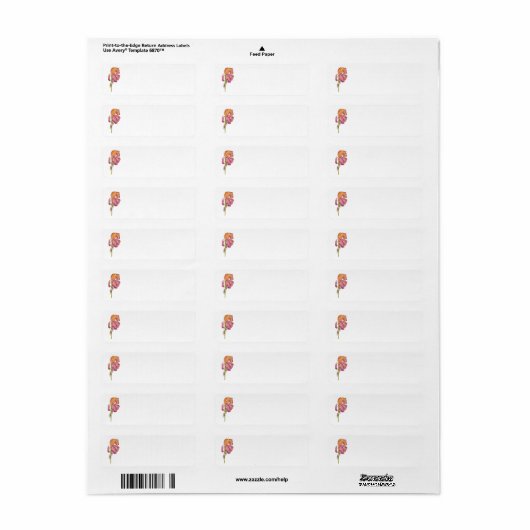 Multicolor Iris Label (Full Sheet)