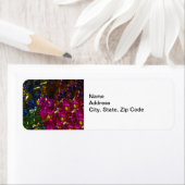 Multicolor Mix Avery Label (Insitu)