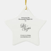 Multicolor Mix Star-Ornament Keramisch Ornament (Achterkant)
