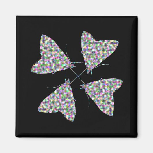 Multicolor Moth Art Magnet (Voorkant)