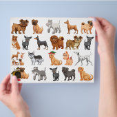 Multicolor Puppy Dogs Scrapbook Paper Flyer (Hand)