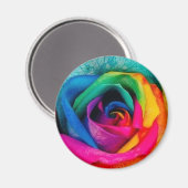 Multicolor roos magneet (Voorkant / Achterkant)