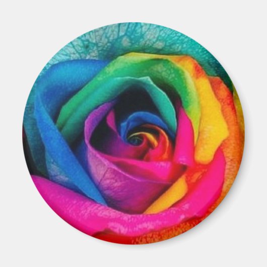 Multicolor roos magneet (Voorkant)