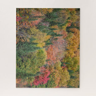 Multicolor Tree Puzzle Legpuzzel