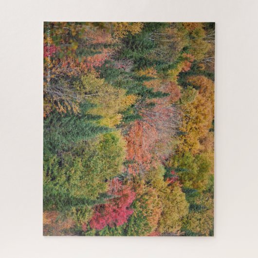 Multicolor Tree Puzzle Legpuzzel (Verticaal)