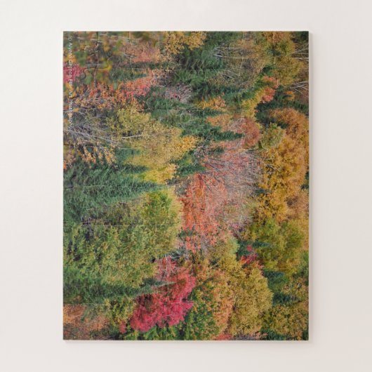 Multicolor Tree Puzzle Legpuzzel (Verticaal)