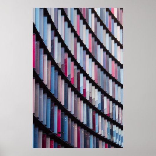 Multicolore boeken in rack poster (Voorkant)