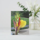 Multicolored Cannas Bloom Briefkaart (Staand voorkant)