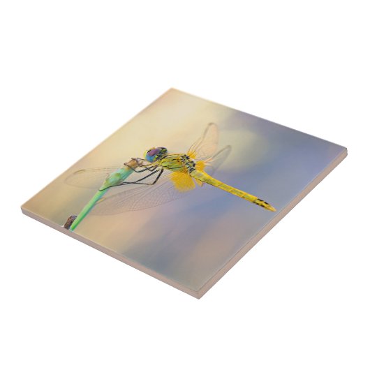 Multicolored Dragonfly Tegeltje (Zijkant)