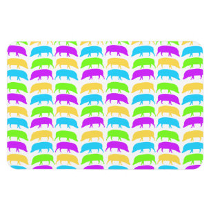 Multicolored Geel Groen Paars Blauwe Premiu Magneet