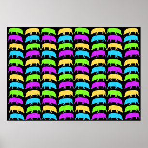 Multicolored het Poster van Hogs