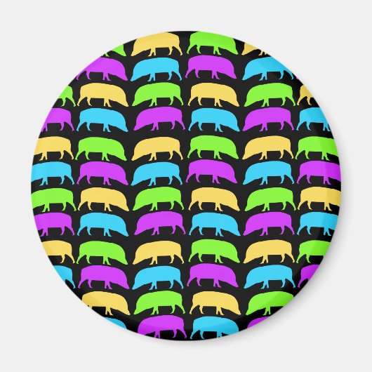 Multicolored Hogs Magnet (Voorkant)