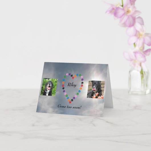 Multicolored Paw Print Heart Dog Sympathiekaart Kaart (Orchidee)