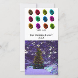 Multicolored Pine Cones-fotokaart Feestdagenkaart