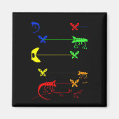 Multicolored Rainbow Chameleon Magnet (Voorkant)