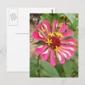 Multicolorventiel * briefkaart (Voorkant / Achterkant)