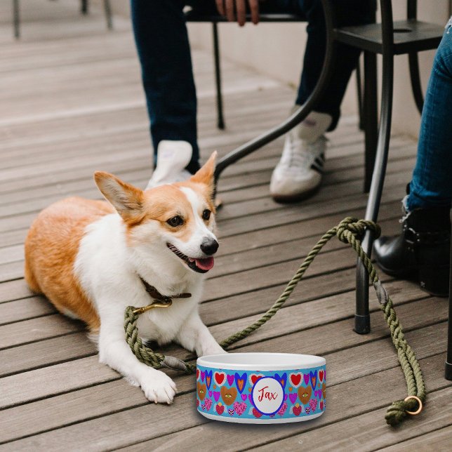 Multicolour hart oogbal collage kleurrijk voerbakje (Creator heeft geüpload)