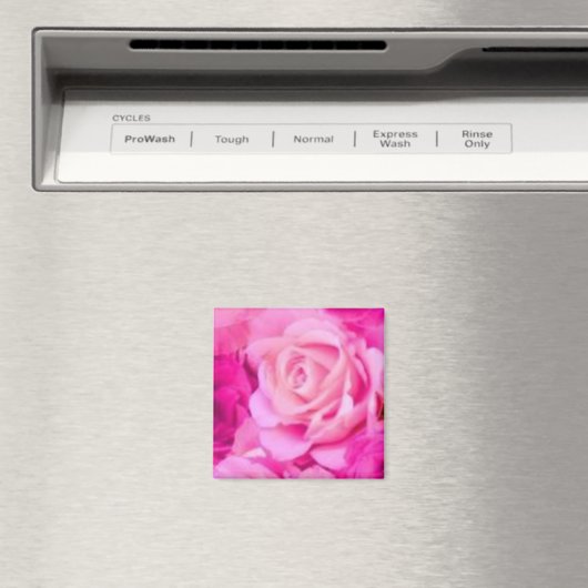 Multifunctionele magneet (Insitu (Vaatwasser))