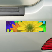 Multigekleurde dagen bumpersticker (Op auto)