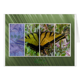 Multigekleurde vlinder