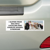 Multiple Cavalier King Charles Syndrome Bumper St. Bumpersticker (Op auto)