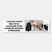 Multiple Cavalier King Charles Syndrome Bumper St. Bumpersticker (Voorkant)
