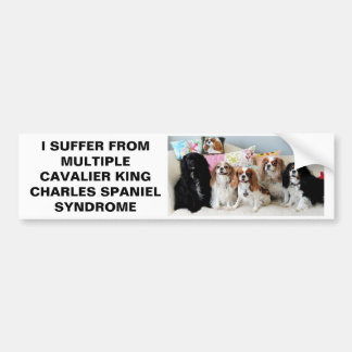 Multiple Cavalier King Charles Syndrome Bumper St. Bumpersticker