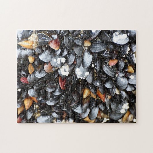 Multiple Mussel Shell Puzzle Legpuzzel (Horizontaal)