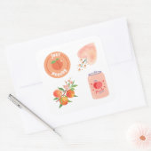 Multiple Peach Sticker Pack (Envelop)