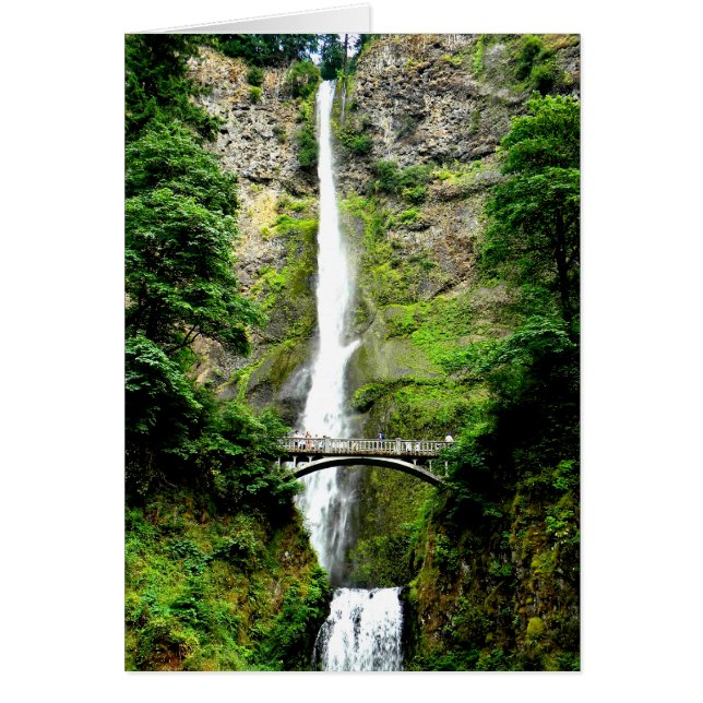 Multnomah (Voorkant)