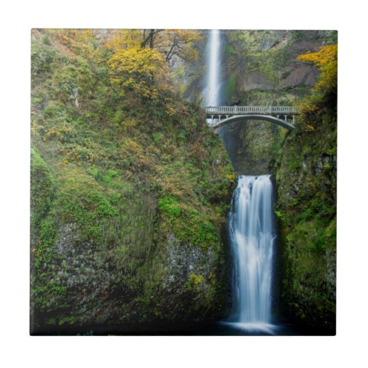 Multnomah Falls in de herfst in de Columbia Gorge Tegeltje (Voorkant)