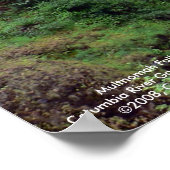 Multnomah Herfst Poster (Hoek)