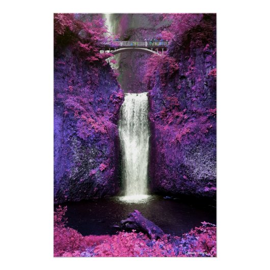 Multnomah Herfst Poster 18,67 x 28 inch (Voorkant)