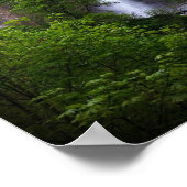 Multnomah Herfsten Bridge-reparatie Poster (Hoek)