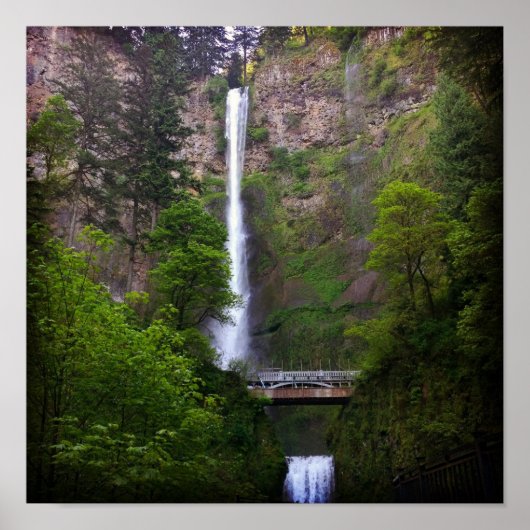 Multnomah Herfsten Bridge-reparatie Poster (Voorkant)