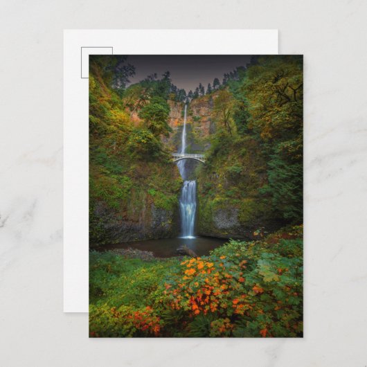 Multnomah Herfsten | Columbia River Gorge, Oregon Briefkaart (Voorkant / Achterkant)
