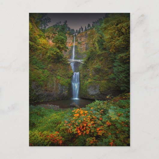 Multnomah Herfsten | Columbia River Gorge, Oregon Briefkaart (Voorkant)