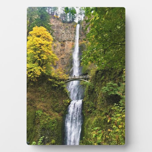 Multnomah-Herfsten, Columbia River Gorge, Oregon Fotoplaat (voorkant)