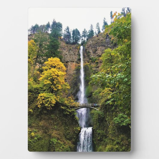 Multnomah-Herfsten, Columbia River Gorge, Oregon Fotoplaat (voorkant)