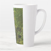 Multnomah-Herfsten, Columbia River Gorge, Oregon Latte Mok (Rechts)