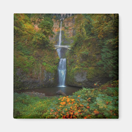 Multnomah Herfsten | Columbia River Gorge, Oregon Magneet (Voorkant)