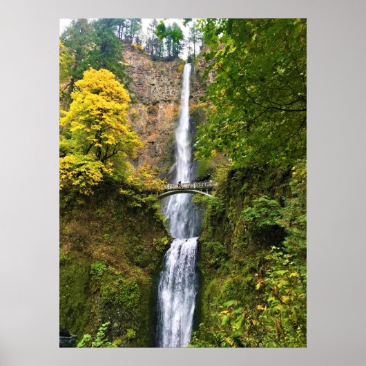 Multnomah-Herfsten, Columbia River Gorge, Oregon Poster (Voorkant)