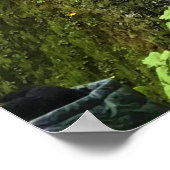 Multnomah-Herfsten, Columbia River Gorge, Oregon Poster (Hoek)