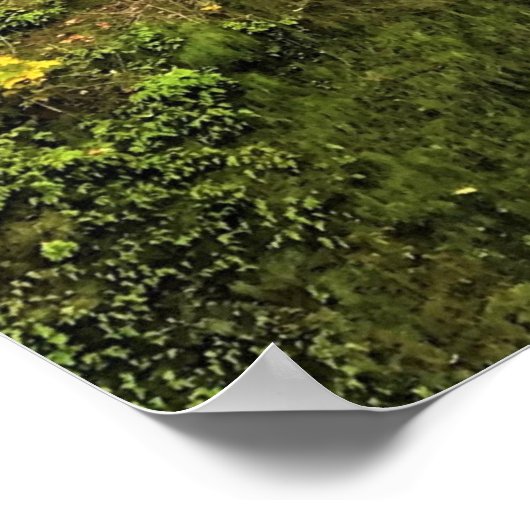 Multnomah-Herfsten, Columbia River Gorge, Oregon Poster (Hoek)